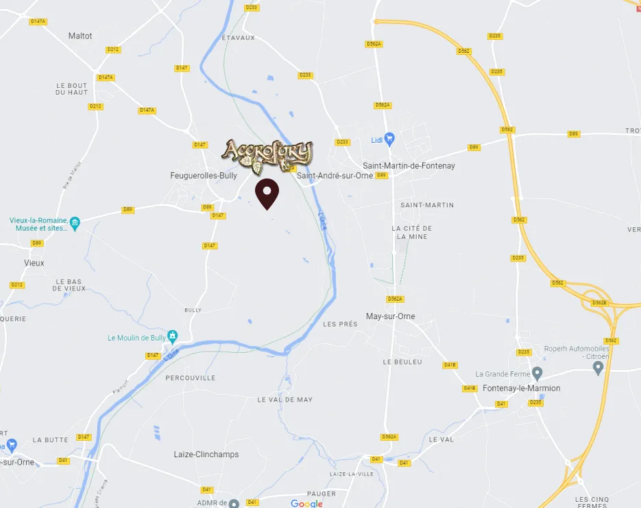 googlemap