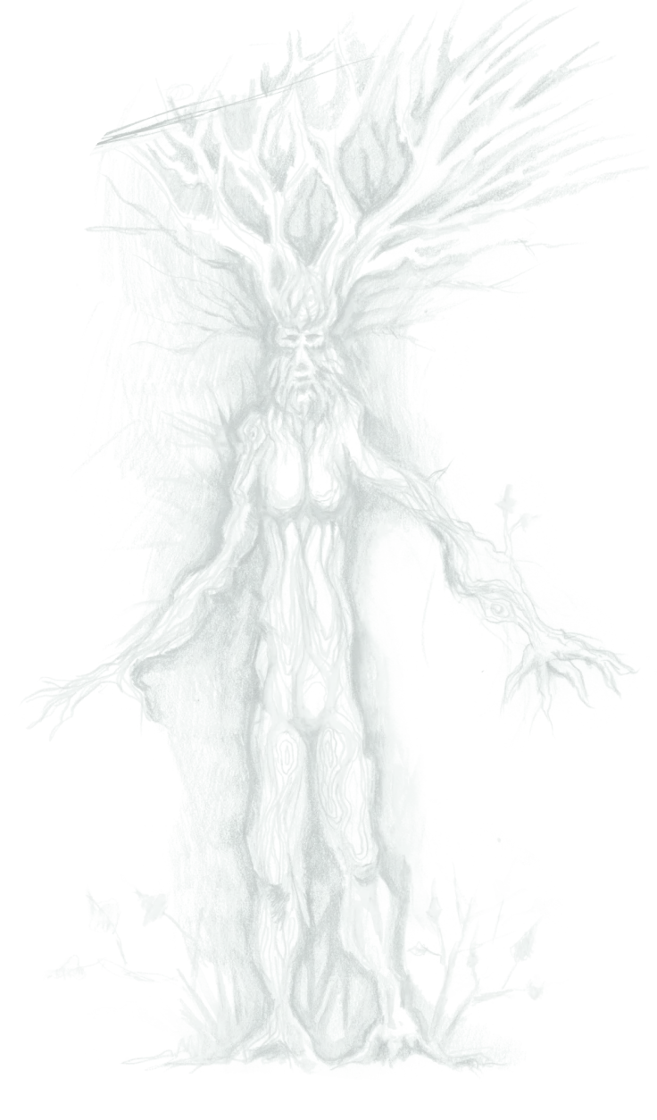 arbre